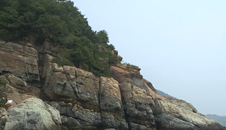 石家莊影視紀錄片拍攝_石家莊影視紀錄片拍攝制作